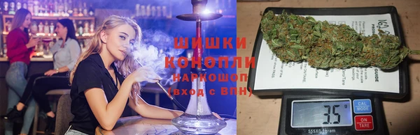 прущие грибы Лабытнанги
