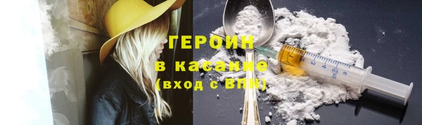 прущие грибы Лабытнанги