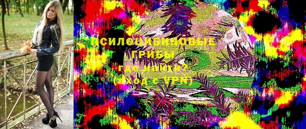 гашик Лагань